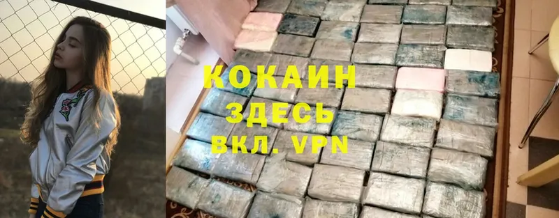 купить закладку  Ковылкино  COCAIN FishScale 