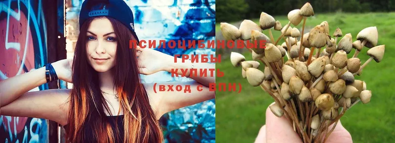 закладки  ссылка на мегу ссылки  Псилоцибиновые грибы Magic Shrooms  Ковылкино 